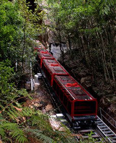 Andersons Tours - Mackay Tourism 1