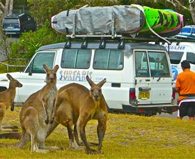 Surfaris Surf Camp - Mackay Tourism 3