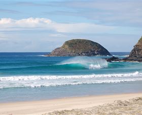 Surfaris Surf Camp - Mackay Tourism 4