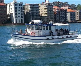 Deep Sea Fishing Charter - Mackay Tourism 2