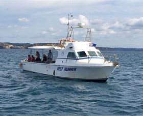 Deep Sea Fishing Charter - Mackay Tourism 3