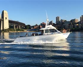 Deep Sea Fishing Charter - Mackay Tourism 4