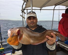 Deep Sea Fishing Charter - Mackay Tourism 5