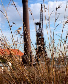 Click Walk Learn Photography Tours - Mackay Tourism 2