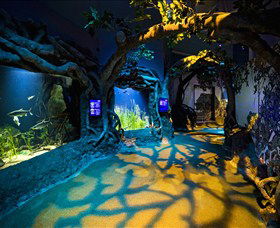 SEA LIFE Sydney Aquarium - Mackay Tourism 2