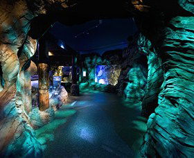 SEA LIFE Sydney Aquarium - Mackay Tourism 3
