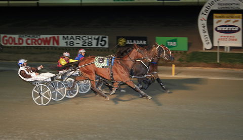 Bathurst Harness Racing Club - Mackay Tourism 3