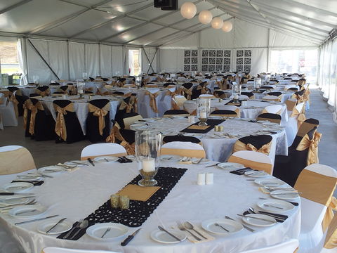 Bathurst Harness Racing Club - Mackay Tourism 5