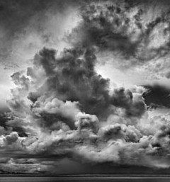Annandale Galleries - Mackay Tourism 0