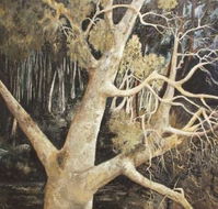 Ku-Ring-Gai Art Centre  Gallery - Mackay Tourism