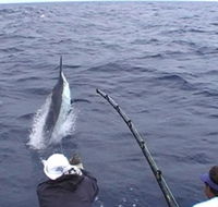 Amokura Charters - Mackay Tourism