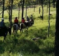 Hunter Valley Horse Riding and Adventures - Mackay Tourism
