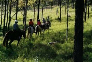 Hunter Valley Horse Riding And Adventures - Mackay Tourism 0