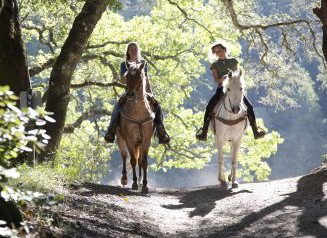 Hunter Valley Horse Riding And Adventures - Mackay Tourism 1