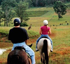 Hunter Valley Horse Riding And Adventures - Mackay Tourism 3