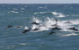  Mackay Tourism