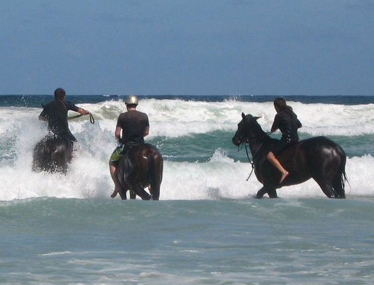 Brooklet NSW Mackay Tourism