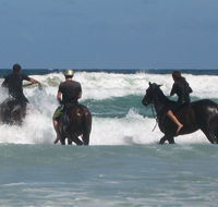 Pegasus Park Equestrian Centre - Mackay Tourism
