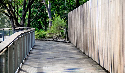 Riverside Walking Track - Mackay Tourism 0