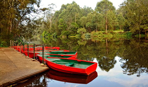 Lane Cove National Park - Mackay Tourism 0