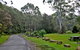 Lane Cove National Park - thumb 2
