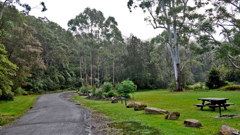 Lane Cove National Park - Mackay Tourism 2