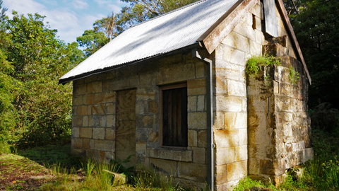 Lane Cove National Park - Mackay Tourism 1