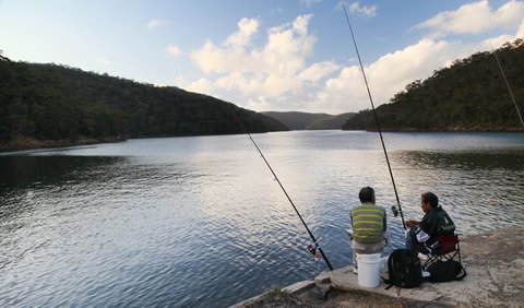 D'Albora Marinas At Akuna Bay - Mackay Tourism 3