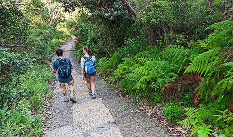 Barrenjoey Lighthouse - Mackay Tourism 3