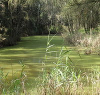 Second Ponds Creek walk - Mackay Tourism