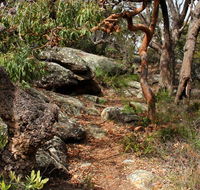 Box Head track - Mackay Tourism