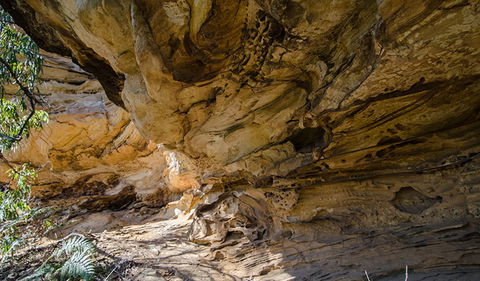 Marramarra National Park - Mackay Tourism 0