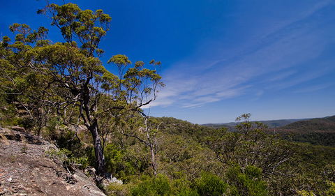 Marramarra National Park - Mackay Tourism 1