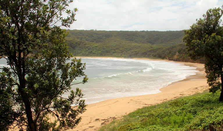 Macmasters Beach NSW Mackay Tourism