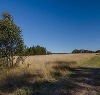 Scheyville horse riding trails - Mackay Tourism