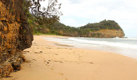Bouddi Coastal Walk - Mackay Tourism 1