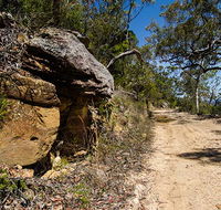 Canoelands Ridge walking track - Mackay Tourism