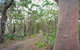 Strom Loop - thumb 3