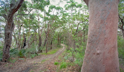 Strom Loop - Mackay Tourism 3