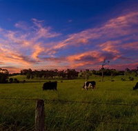 Made in Macarthur Food and Wine Tours - Mackay Tourism