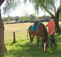 Sugarloaf Horse Centre - Mackay Tourism