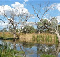 Lagoon Creek - Mackay Tourism