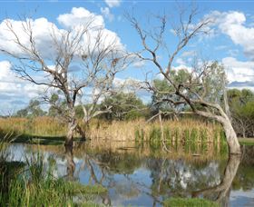 Lagoon Creek - Mackay Tourism 0