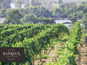 Banrock Station Wine And Wetland Centre - Mackay Tourism 0