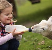 Hahndorf Farm Barn - Mackay Tourism