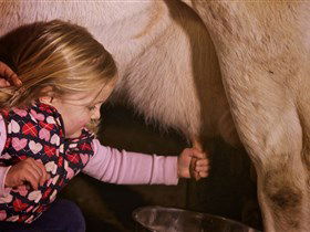 Hahndorf Farm Barn - Mackay Tourism 1