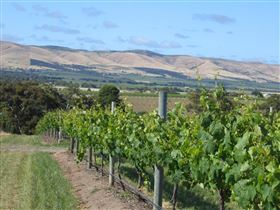 Possingham And Summers Cellar Door - Mackay Tourism 3