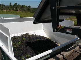 Possingham And Summers Cellar Door - Mackay Tourism 1