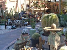Cactus Creations - Mackay Tourism 0