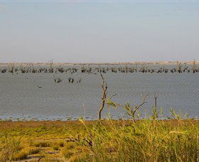 Pan Ban NSW Mackay Tourism